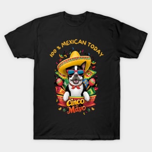 Boston Terrier Dog Cinco de Mayo T-Shirt